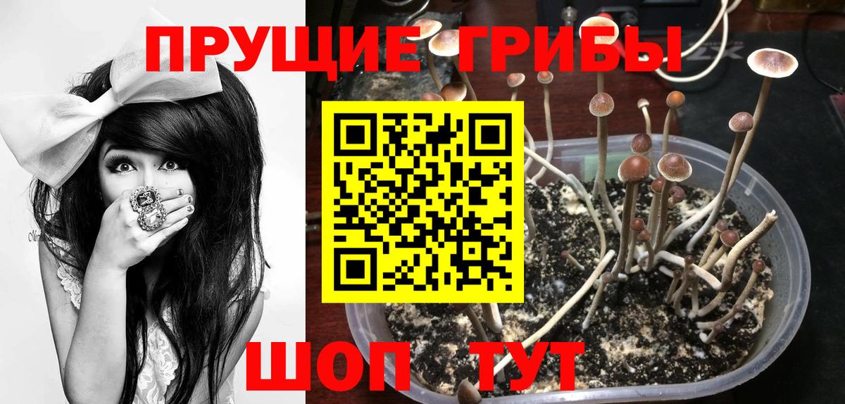 Псилоцибиновые грибы мухоморы  купить наркотик  Луховицы  Вход с VPN 